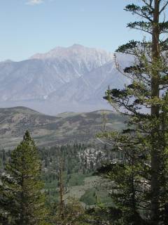 Boundary Peak from Glass Mountain