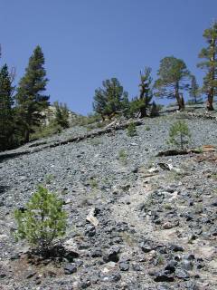 Trail up Glass Mountain