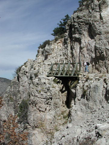 Bridge along the Trail