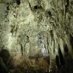 Curtains in Carlsbad Caverns