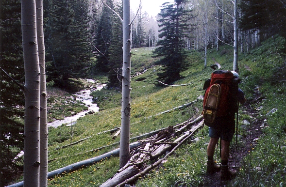 Baker Lake Trail