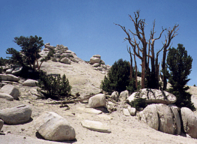 Stark area near Arch Rock.