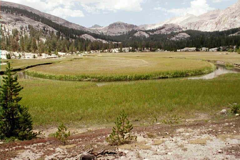 Gallats Meadow