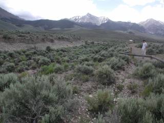 Earthquake Scarp near Borah Peak