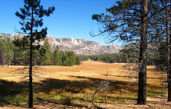 Manter Meadow