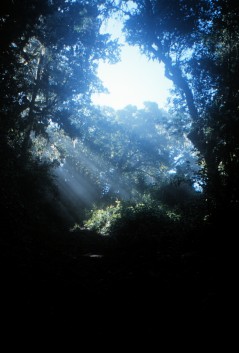 Mweka Trail mud