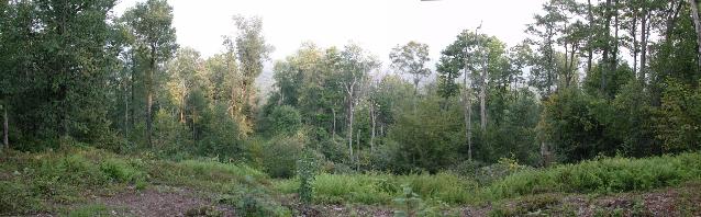 View to the East from the Maryland Highpoint