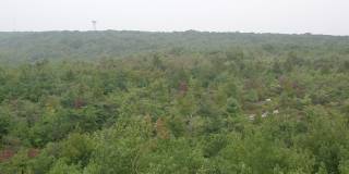 View from Observation Tower on Mt. Davis