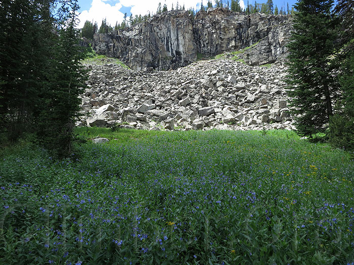 meadow beyond Lady of the Lake